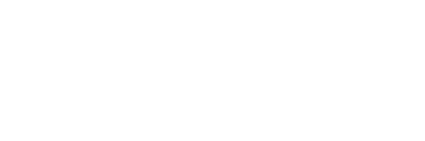 Boy Scouts Logo